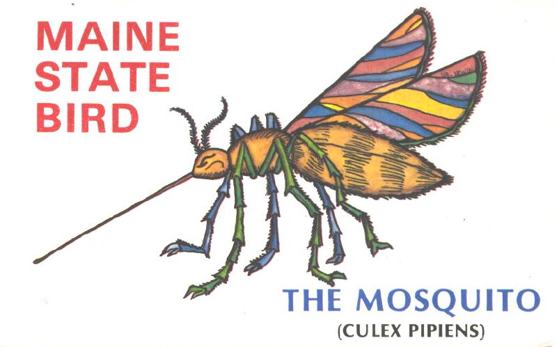 Illustration for article titled The 6 Seasons of Maine